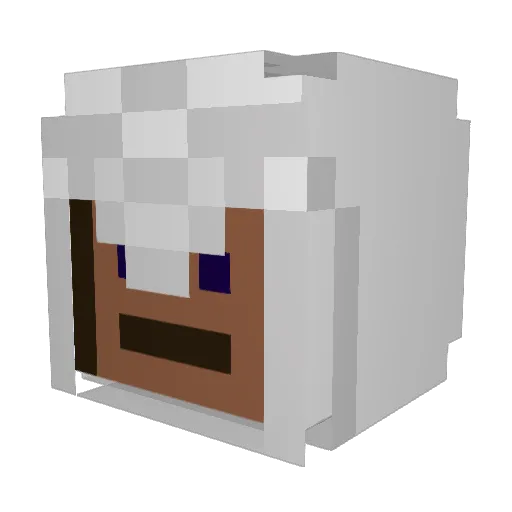 MrAverking Minecraft avatar head, 3D render