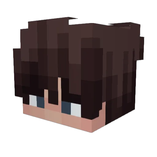 MrAwokado Minecraft avatar head, 3D render