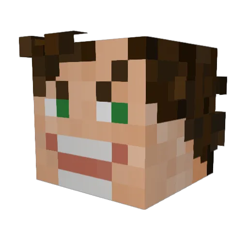 MrBEASTguy Minecraft avatar head, 3D render