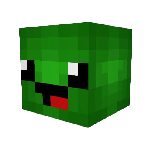 MrBabyTurtle68 Minecraft avatar head, 3D render