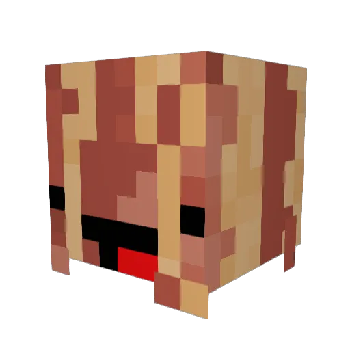MrBacon1205 Minecraft avatar head, 3D render