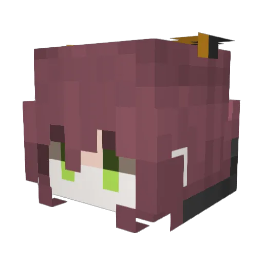 MrBadger187 Minecraft avatar head, 3D render
