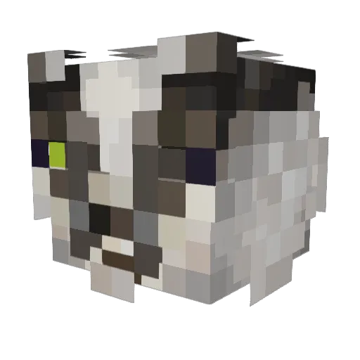 MrBadgerino Minecraft avatar head, 3D render
