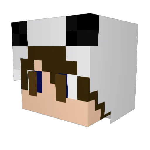 MrBandiTheBandit Minecraft avatar head, 3D render