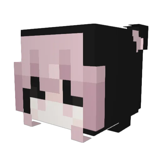 MrBasic7337 Minecraft avatar head, 3D render
