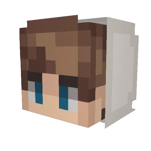 MrBauer Minecraft avatar head, 3D render