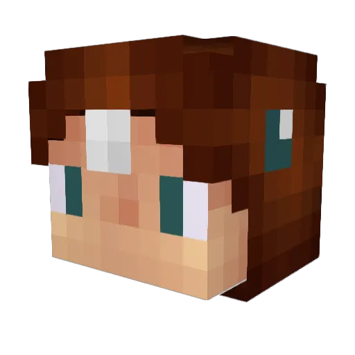 MrBeNox_ Minecraft avatar head, 3D render