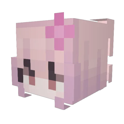 MrBeans10 Minecraft avatar head, 3D render