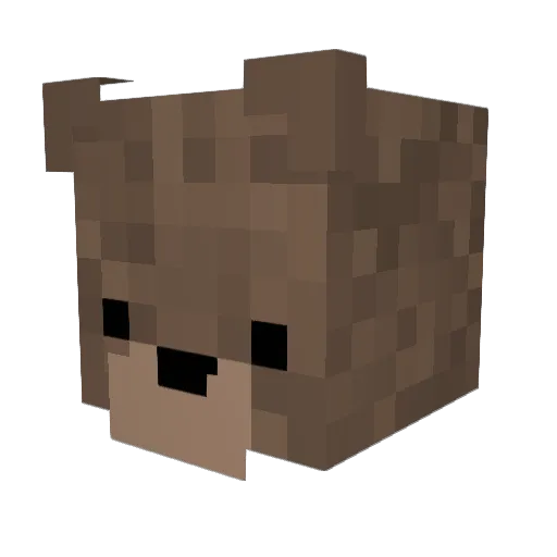 MrBearcatt Minecraft avatar head, 3D render