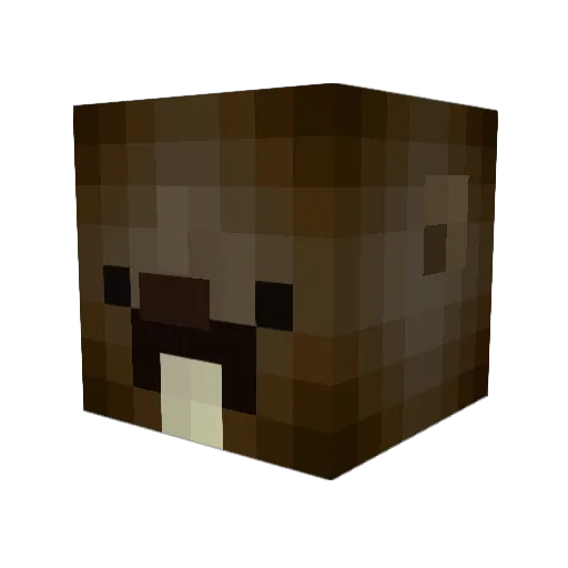 MrBeaver123 Minecraft avatar head, 3D render