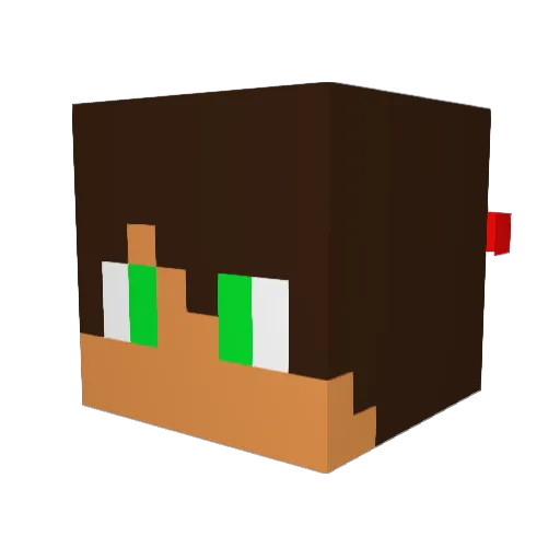 MrBebbly Minecraft avatar head, 3D render