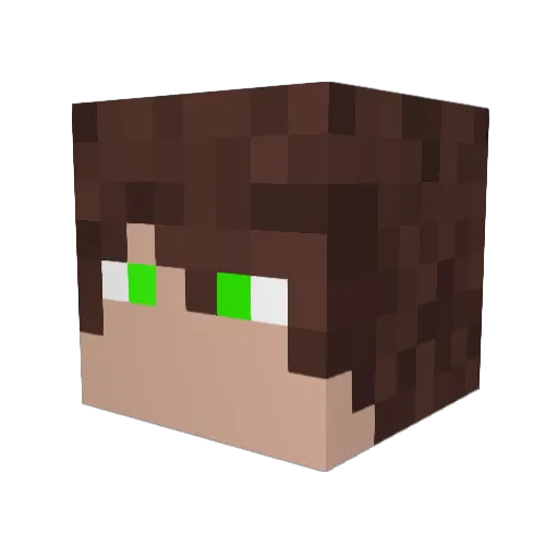 MrBen10Mr Minecraft avatar head, 3D render