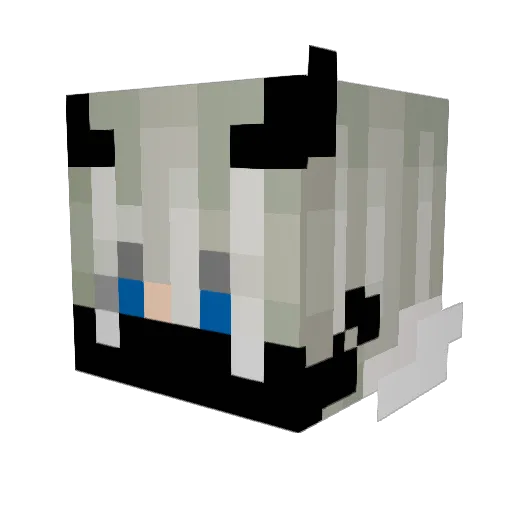 MrBillaXD Minecraft avatar head, 3D render