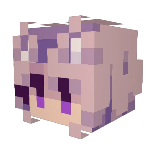 MrBillyBear Minecraft avatar head, 3D render