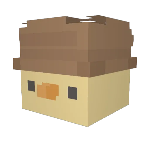 MrBina Minecraft avatar head, 3D render