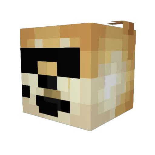 MrBinkie Minecraft avatar head, 3D render