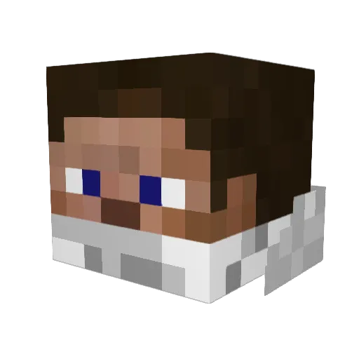 MrBleis Minecraft avatar head, 3D render