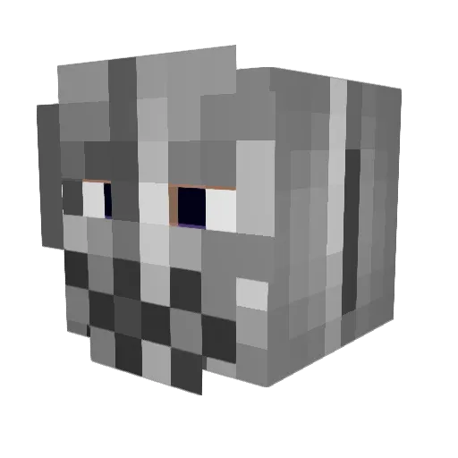MrBlokk Minecraft avatar head, 3D render