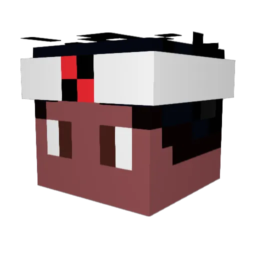 MrBobbyStein Minecraft avatar head, 3D render