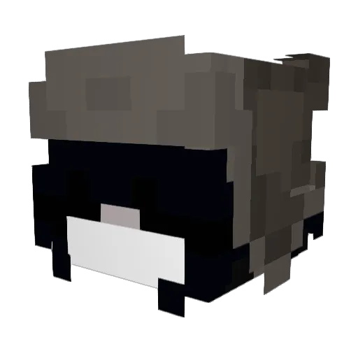 MrBoden Minecraft avatar head, 3D render
