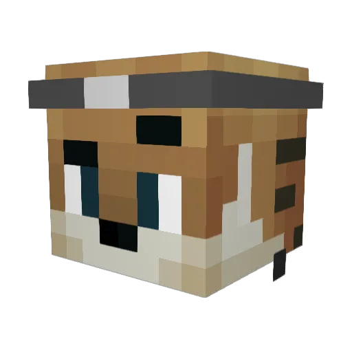 MrBogdanZ Minecraft avatar head, 3D render