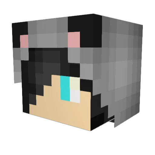 MrBomb516 Minecraft avatar head, 3D render