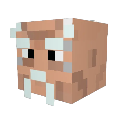 MrBringz Minecraft avatar head, 3D render