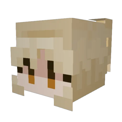 MrBubz711 Minecraft avatar head, 3D render