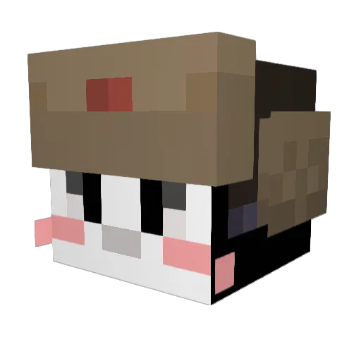 MrC0oki3 Minecraft avatar head, 3D render