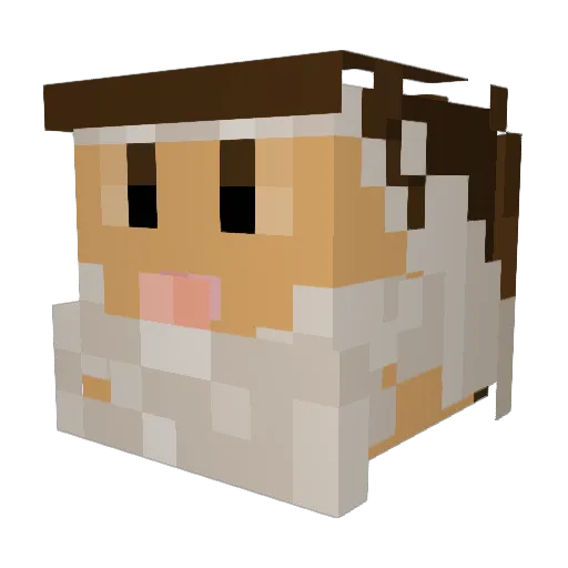 MrCalac1231 Minecraft avatar head, 3D render