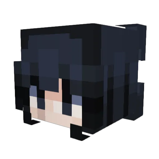 MrCat6969 Minecraft avatar head, 3D render
