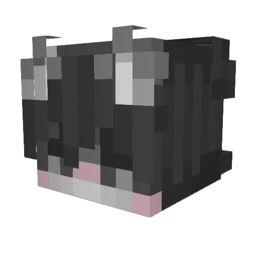 MrCattCatz Minecraft avatar head, 3D render