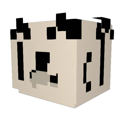 MrCaym_GG Minecraft avatar head, 3D render