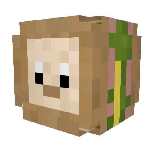 MrChapati Minecraft avatar head, 3D render