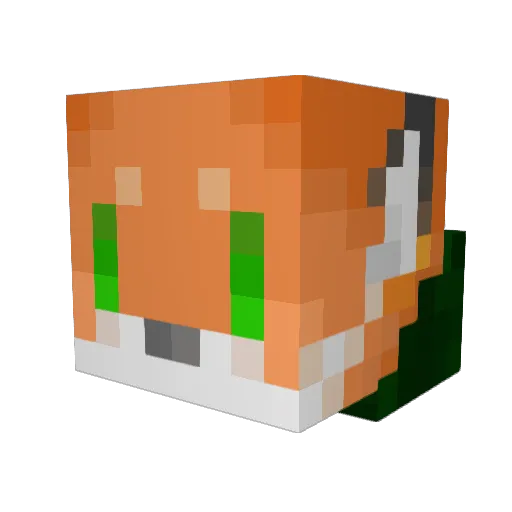 MrCheezItFox Minecraft avatar head, 3D render