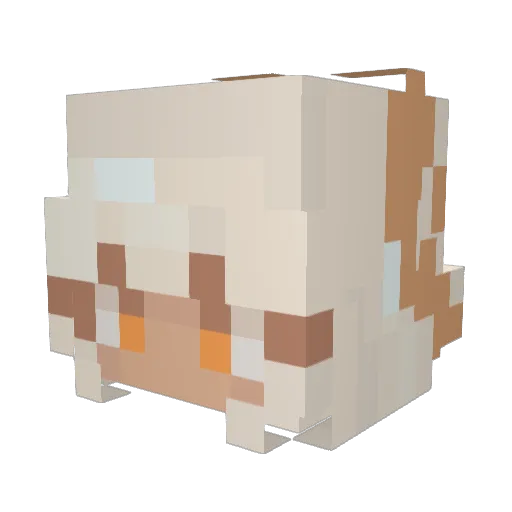 MrCinnamonBun Minecraft avatar head, 3D render