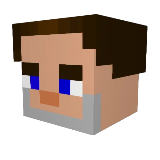 MrCitrusTurtle Minecraft avatar head, 3D render