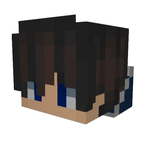 MrCode4 Minecraft avatar head, 3D render