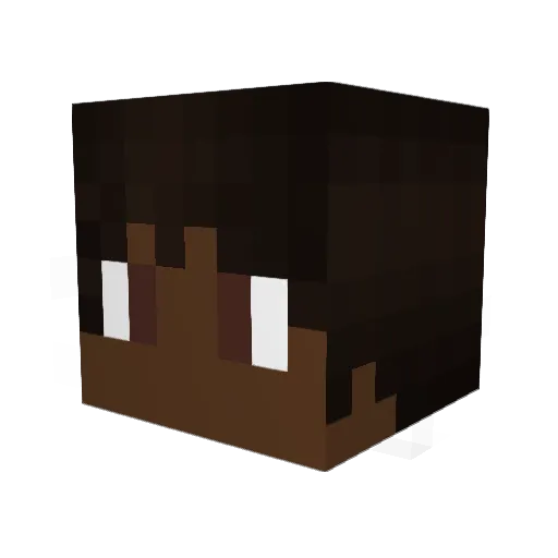 MrCooJum Minecraft avatar head, 3D render