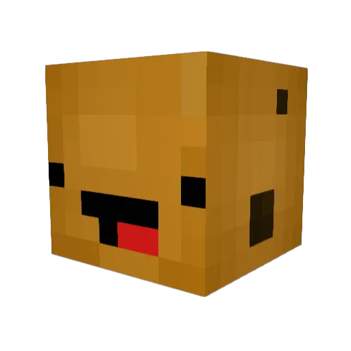 MrCookie_HDYT Minecraft avatar head, 3D render