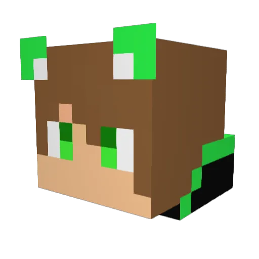 MrCreeperDude27 Minecraft avatar head, 3D render