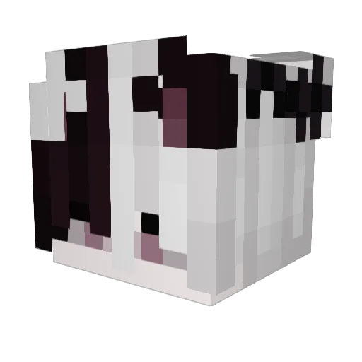 MrCrimm Minecraft avatar head, 3D render