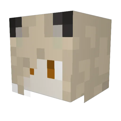 MrCruMbzZ Minecraft avatar head, 3D render