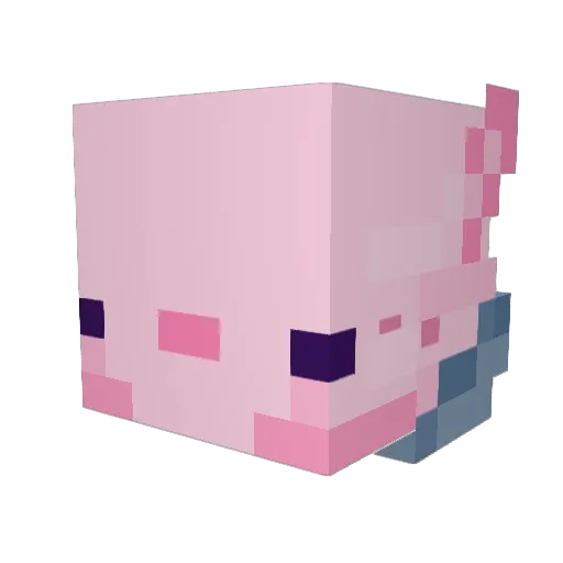 MrCuteBoy Minecraft avatar head, 3D render