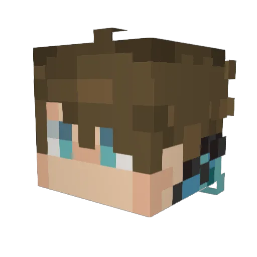 MrDFlo Minecraft avatar head, 3D render