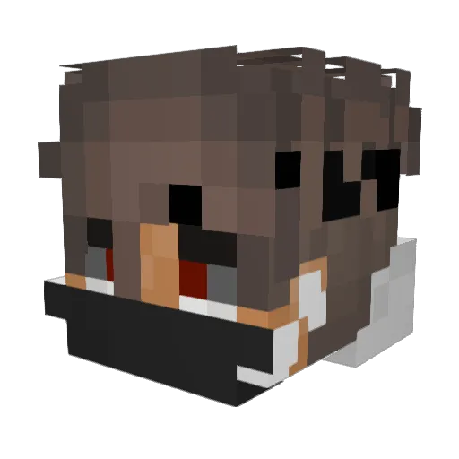 MrDNSA Minecraft avatar head, 3D render