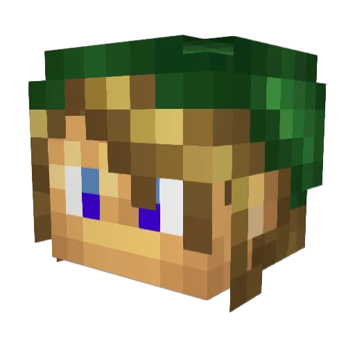 MrDSan Minecraft avatar head, 3D render