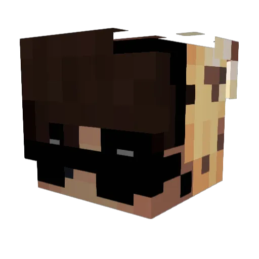 MrDariu Minecraft avatar head, 3D render