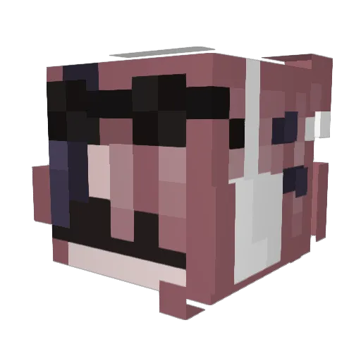 MrDarkWings Minecraft avatar head, 3D render