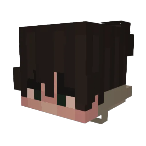 MrDas2511 Minecraft avatar head, 3D render